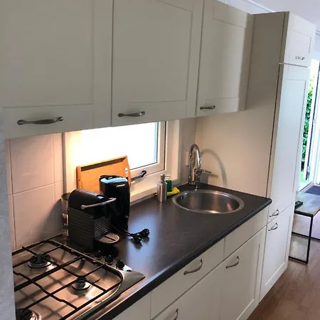 Vrijstaand Chalet In Bospark Hattemerbroek