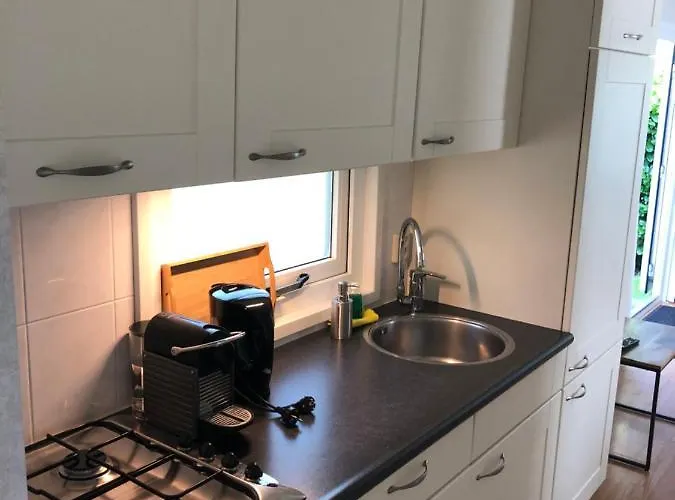 Vrijstaand Chalet In Bospark Hattemerbroek