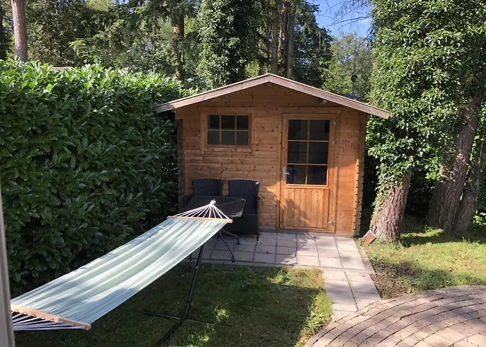 Vrijstaand Chalet In Bospark Hattemerbroek