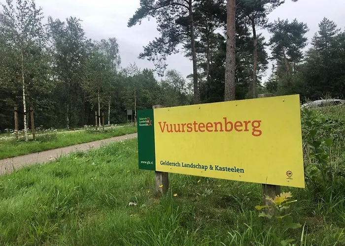 Vrijstaand Chalet In Bospark Chalet Hattemerbroek
