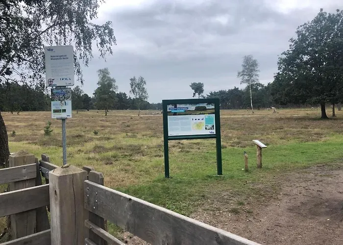 Chalet Vrijstaand Chalet In Bospark