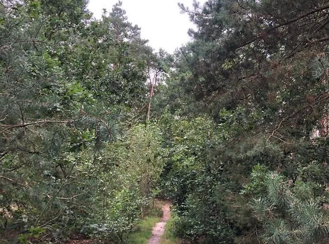 Vrijstaand Chalet In Bospark