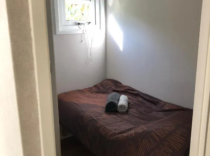 Chalet Vrijstaand Chalet In Bospark Hattemerbroek