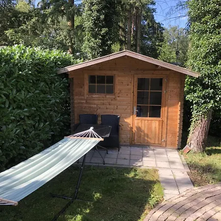 Vrijstaand Chalet In Bospark Hattemerbroek
